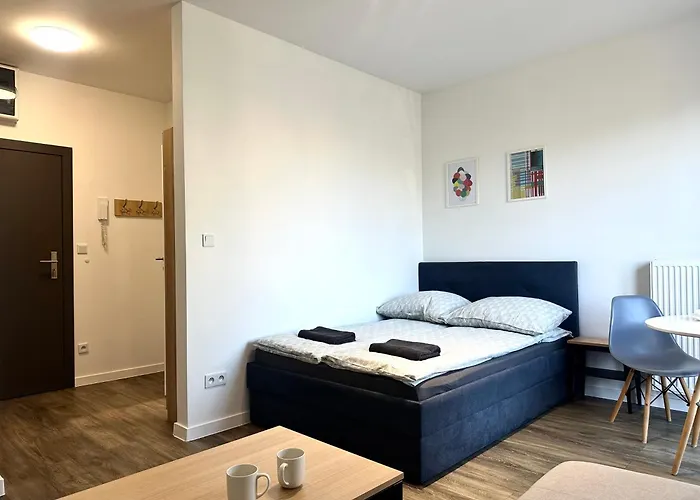 Przyjazni 16 25 - Self Check-in 20h - Lift 公寓 *